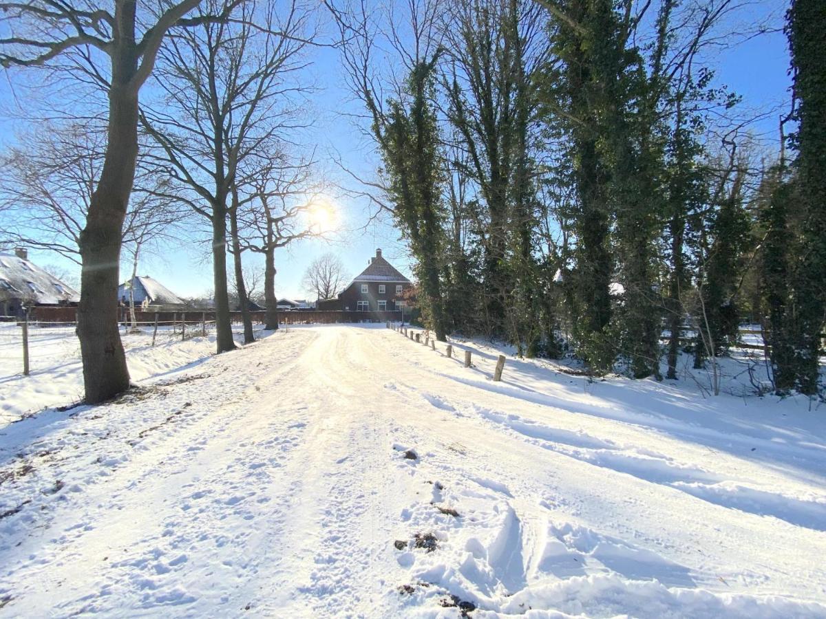 Pipowagen Het Oventje Villa Zeeland Ngoại thất bức ảnh